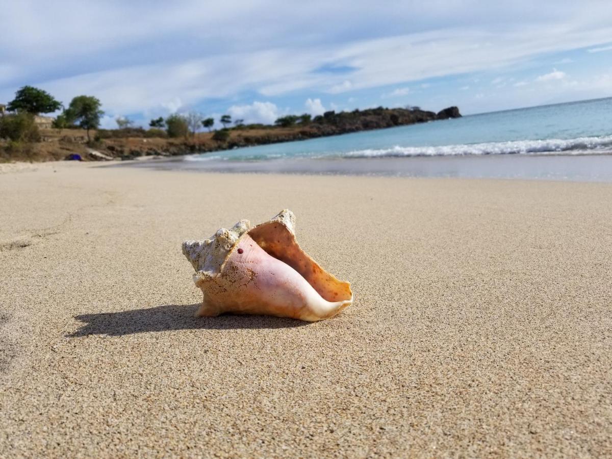 Orrie'S Beach Bar And Hotel Crab Hill Esterno foto